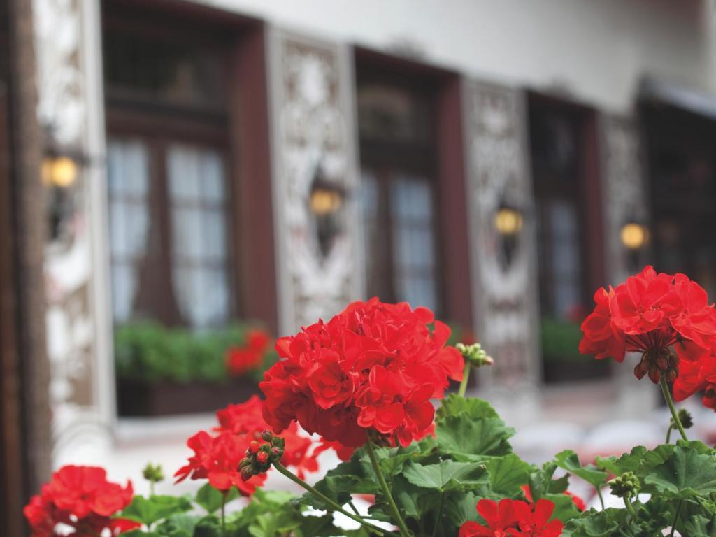 Hotel Felsenkeller Rüdesheim am Rhein Exterior foto