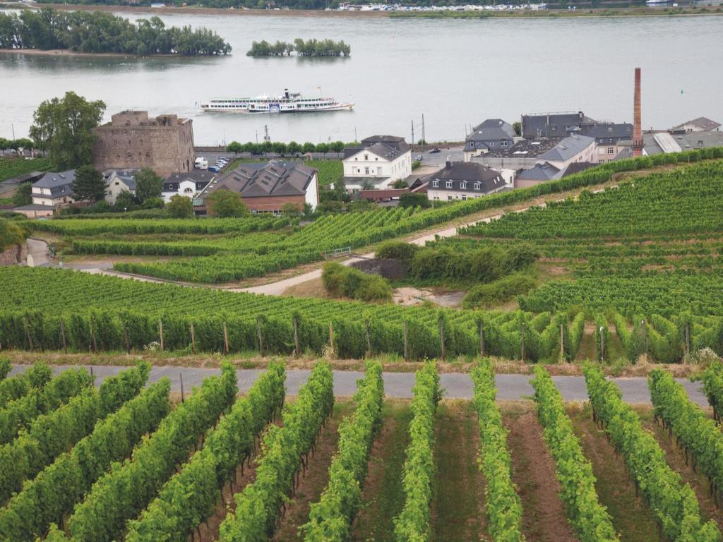 Hotel Felsenkeller Rüdesheim am Rhein Exterior foto